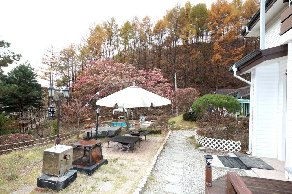 Pinearoma Pension Hongcheon Extérieur photo